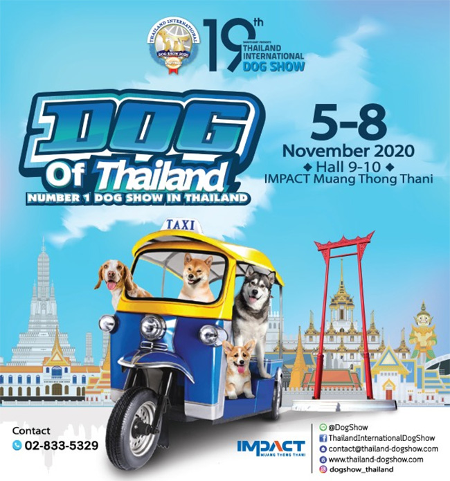 SmartHeart presents Thailand International Dog Show 2020
